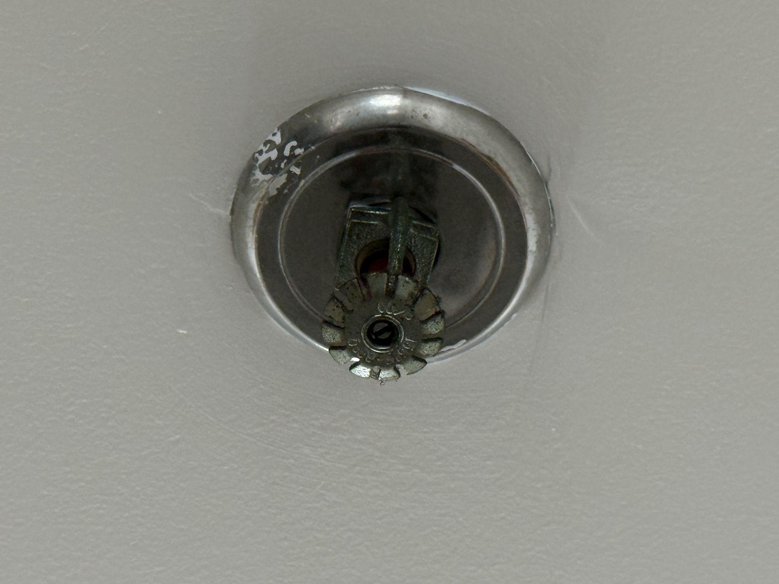 WhatsApp Image 2025-10-23 at 14.56.13 (3)